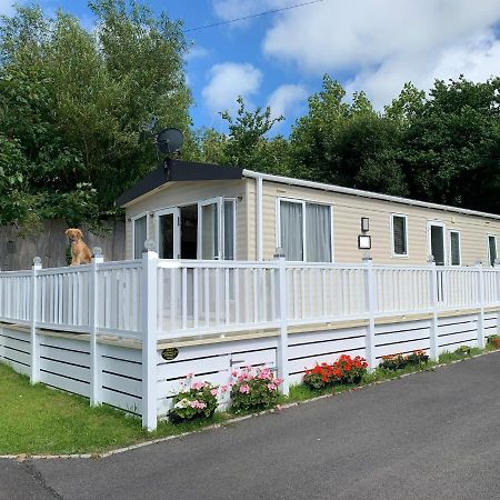 Mollys Retreat Pet Friendly Three Bed Caravan With Small Garden Newquay Bay Resort Quieter Area Of Park Esterno foto